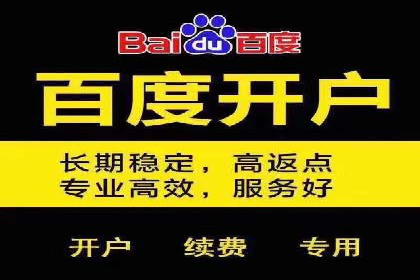 SEM竞价代运营公司案例深度解析
